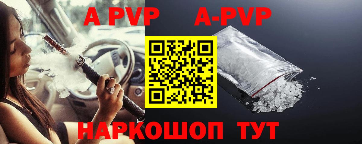 Alfa_PVP СК Новошахтинск