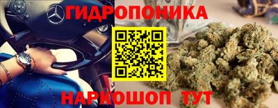 сатива Гагарин