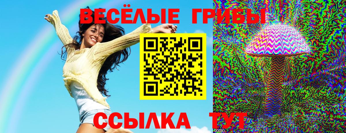 Галлюциногенные грибы Psilocybine cubensis  Вход с VPN  Галлюциногенные грибы GOLDEN TEACHER  Новошахтинск 